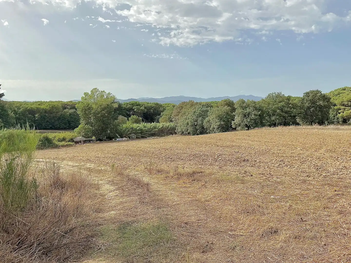 Terreno rústico en venta en Aiguaviva Parc, imagen 17