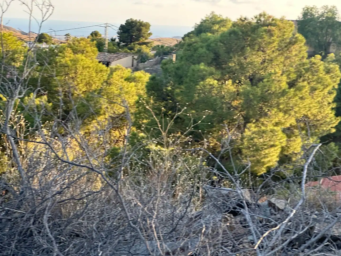 Wohnbaugrundstück zum Verkauf in Venta del Moro, imagen 4