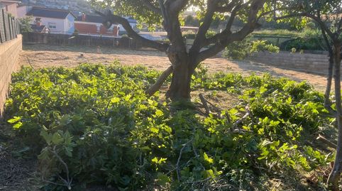 Foto 3 de Terreno en venta en Avinguda Lluís Millet, 2, Els Avets - Can Serrafossà - Ximelis, Rubí