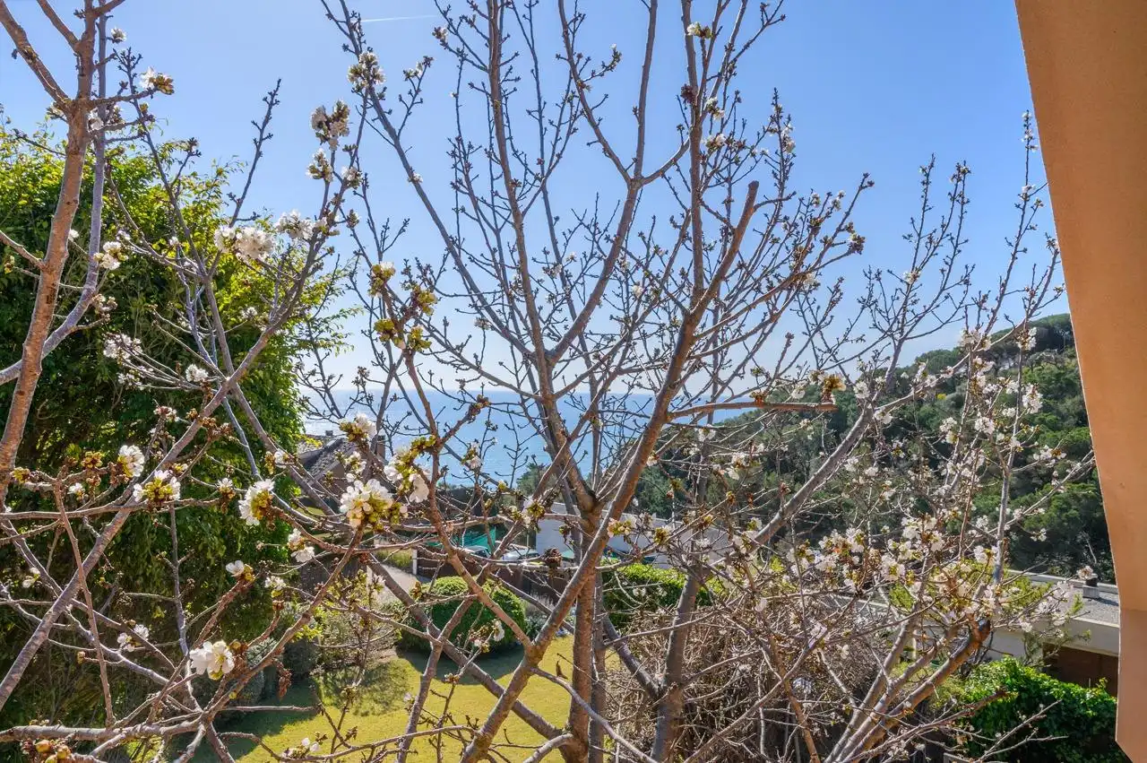 Villa avec terrasse à vendre à Victoria - Les Vil·les - Canyadell, imagen 77