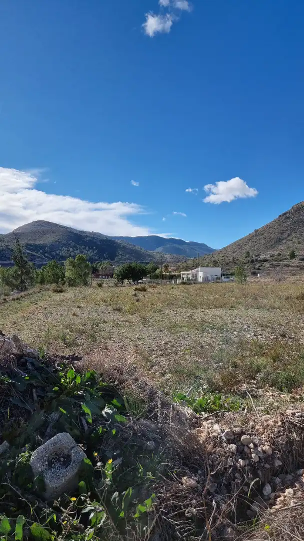 Land for sale in Aspe