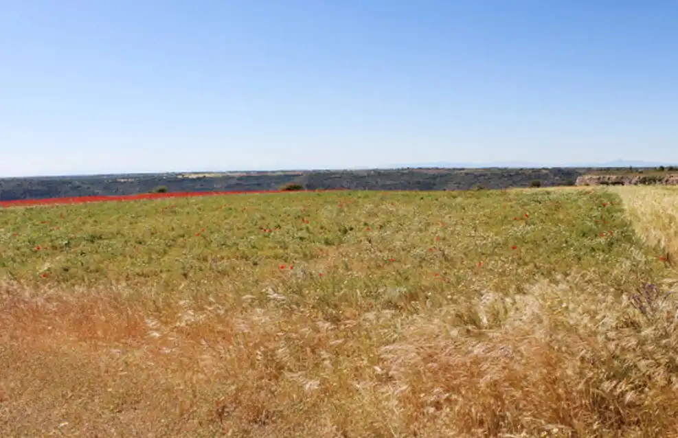 Terreno en venta en Valfermoso de Tajuña