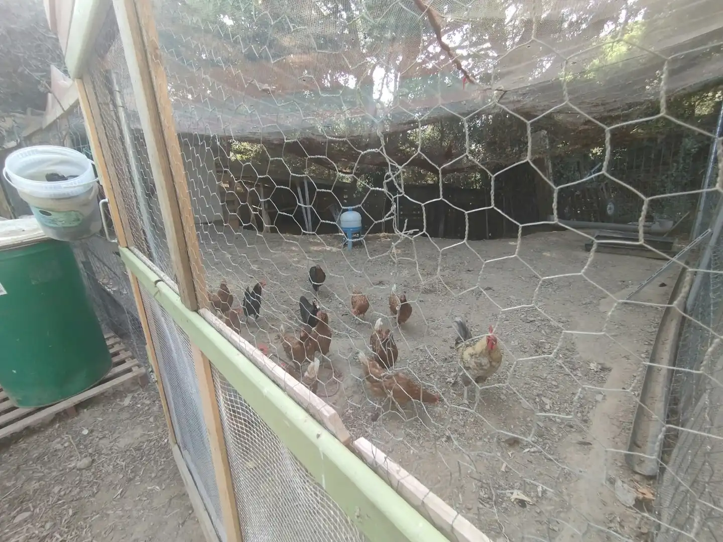 Finca rústica en venda a La Punxa