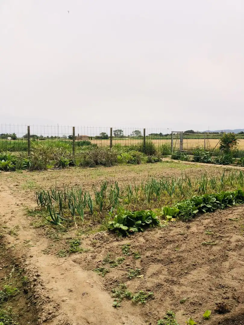 Rustikales Grundstück zum Verkauf in Camí dels Coixins 192, imagen 3