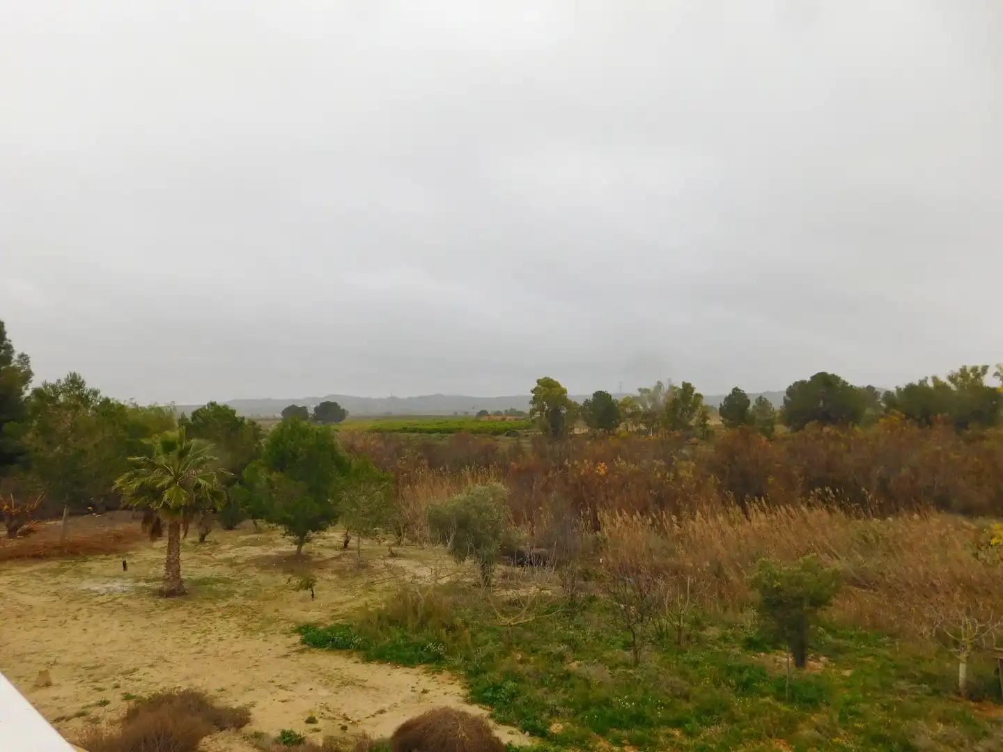 Apartamento con terraza en venta en Desamparados - Hurchillo - Torremendo, imagen 24