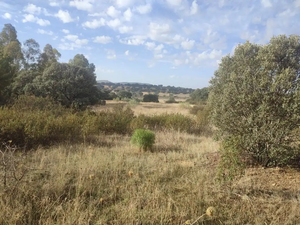 Terreno residenziale in vendita a Brazatortas