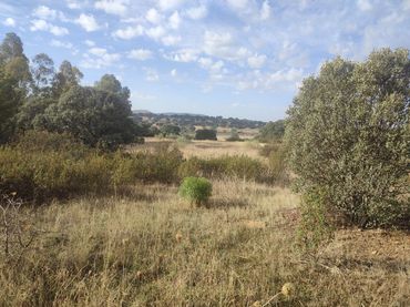 Terreny residencial en venda a Brazatortas