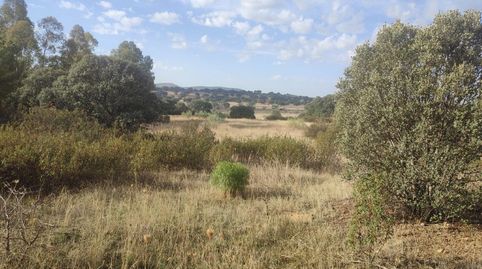 REF 22023  Terreno en Paisaje El Talaverano, Brazatortas