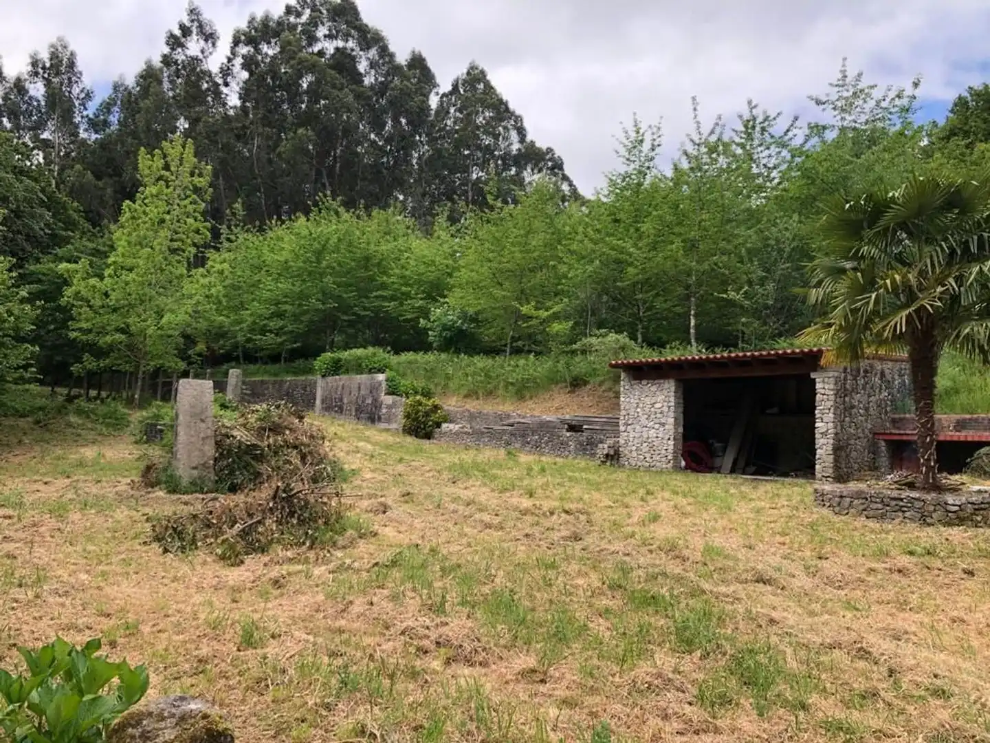 Rural land for sale in Parroquias Rurales, imagen 17