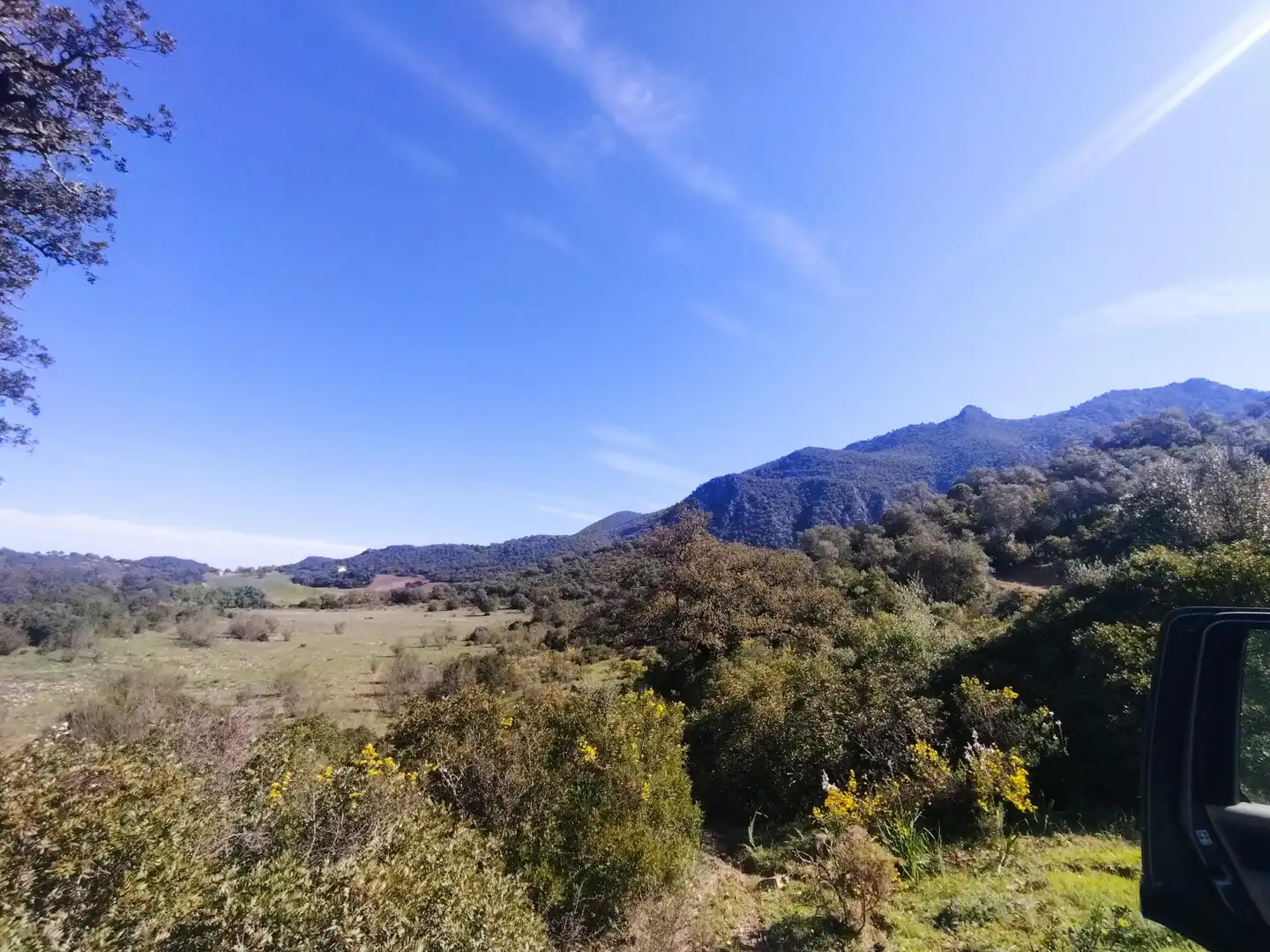 Terreno rustico in vendita a Ubrique, imagen 14