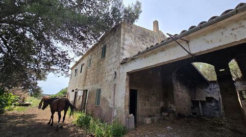 Foto 5 von Country house zum Verkauf in Son Gual, Palma de Mallorca