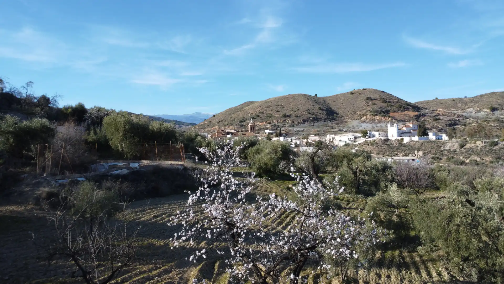 Vista exterior de Casa adosada en venta en Turón con Jardín privado