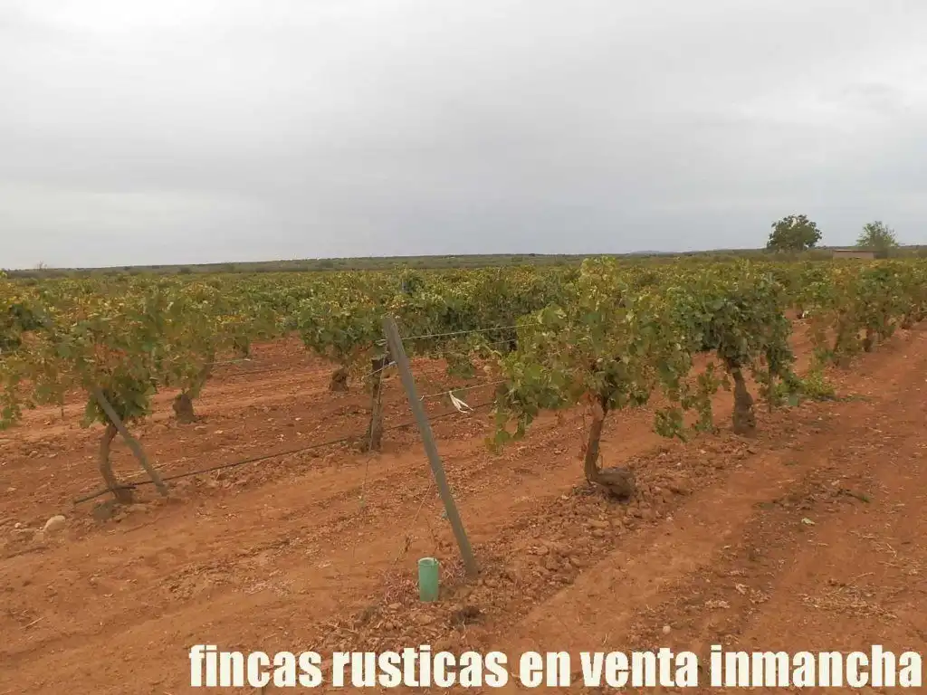 Grundstücke und Bauplätze zum Verkauf in Malagón, imagen 16