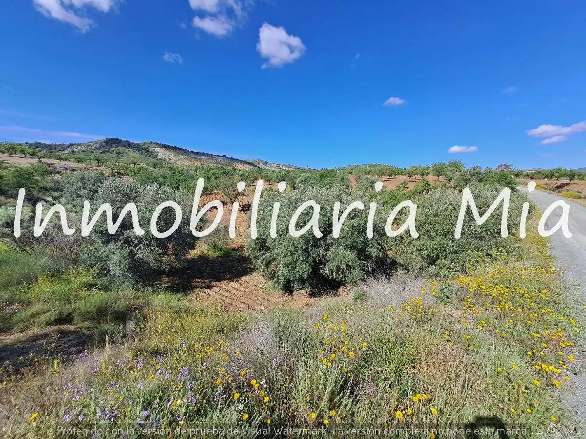 Houses for sale in Nogalte