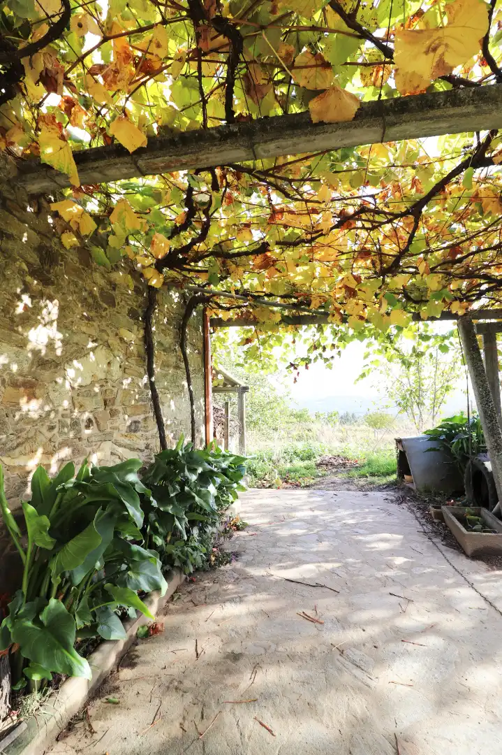 Maison avec jardin à vendre à CP-2017 14, imagen 8