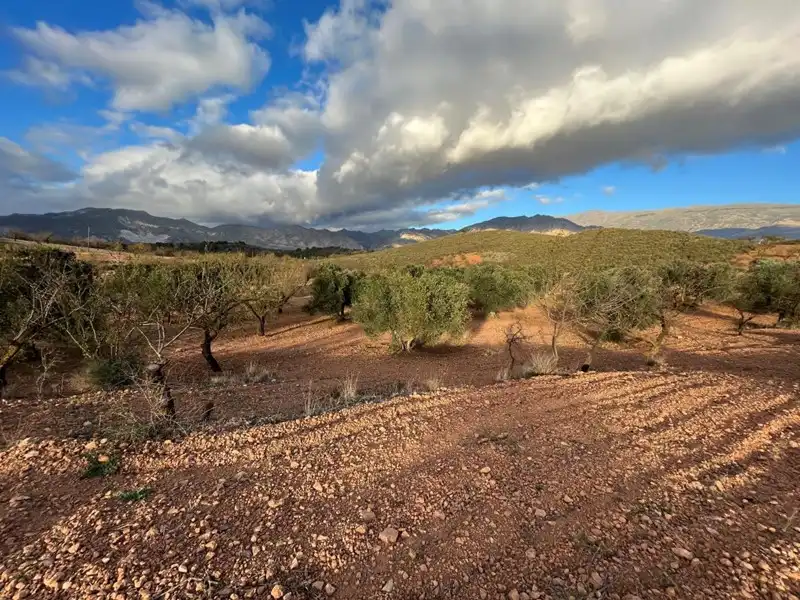 Terreny rústic en venda a Villamena, imagen 6