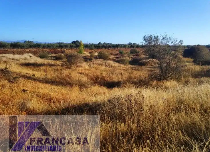 Finca rústica en venda en Navalvillar de Pela