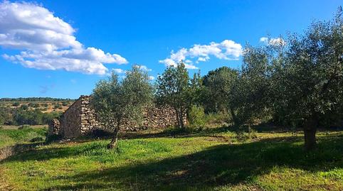 Foto 5 von Country house zum Verkauf in Rasquera, Tarragona