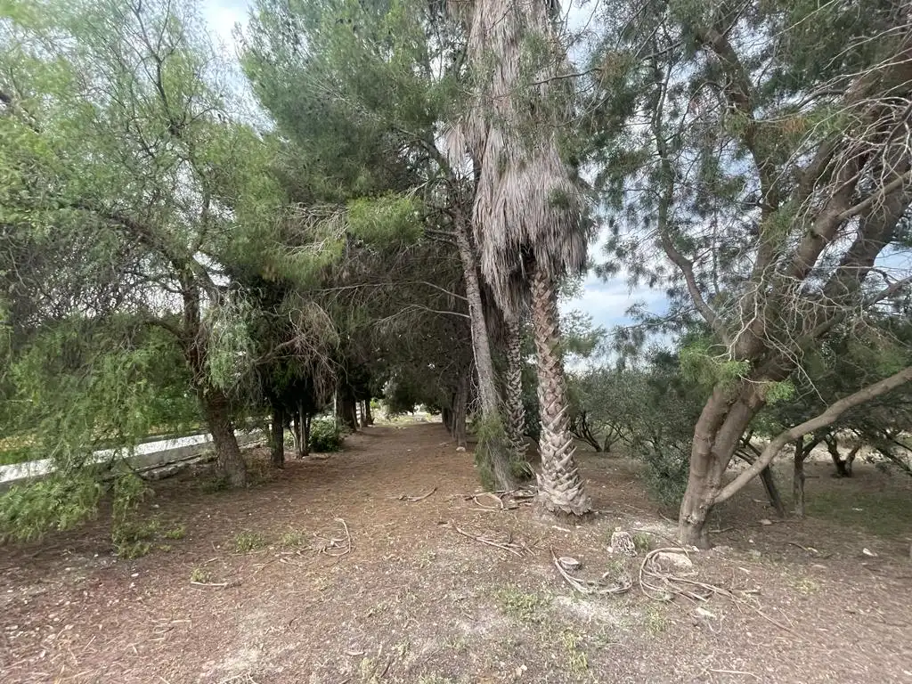 Terreno rustico in vendita a Dolores, imagen 18