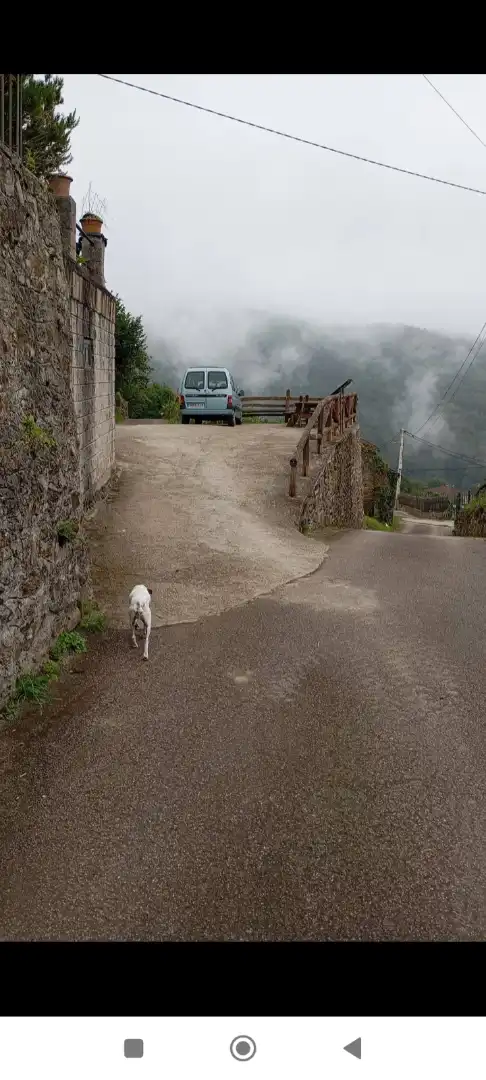 Vista exterior de Casa o xalet en venda en Mieres (Asturias) amb Jardí privat, Terrassa i Traster