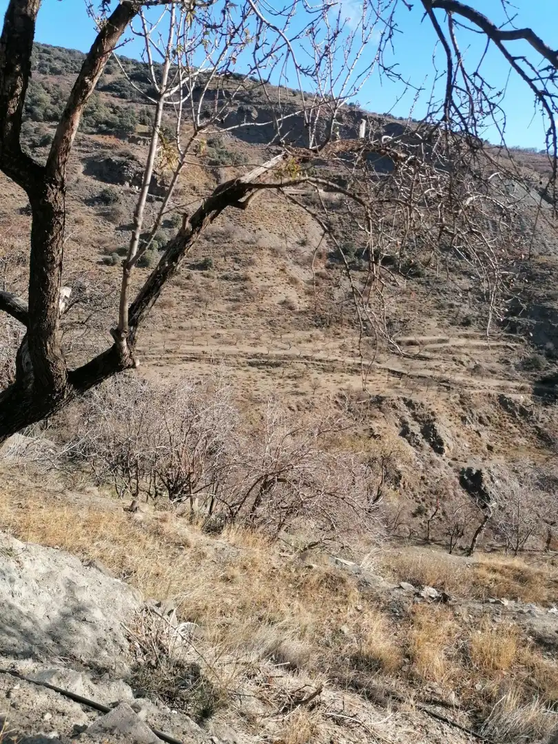 Terreni e lotti in vendita a Nevada, imagen 8