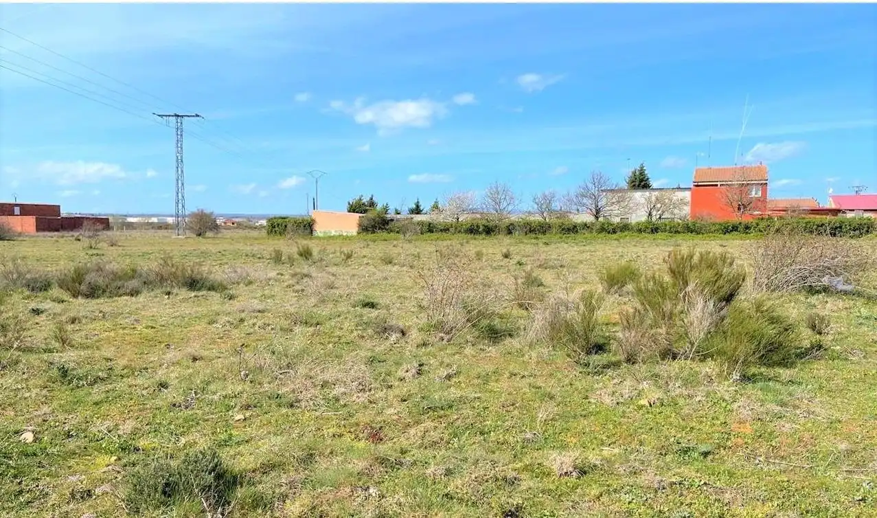 Terreno rustico in vendita a Armunia, imagen 3