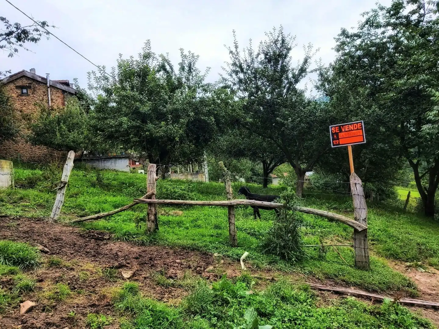 Terreno en venta en Laviana