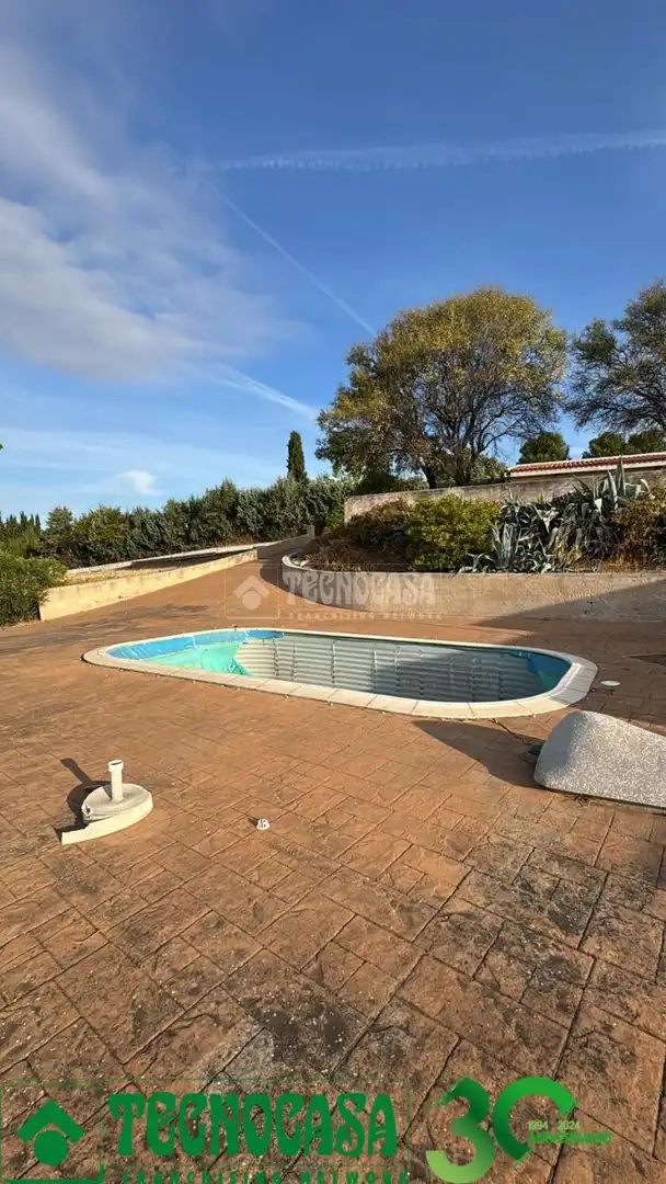 Piscina de Casa o chalet en venta en Albarreal de Tajo con Piscina