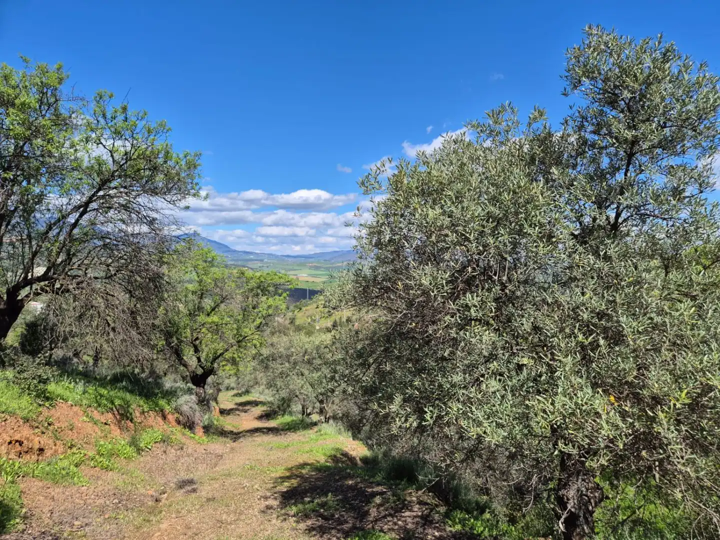 Vista exterior de Finca rústica en venda en Guaro amb Calefacció, Terrassa i Traster