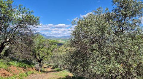 Foto 4 de Finca rústica en venda a Guaro, Málaga