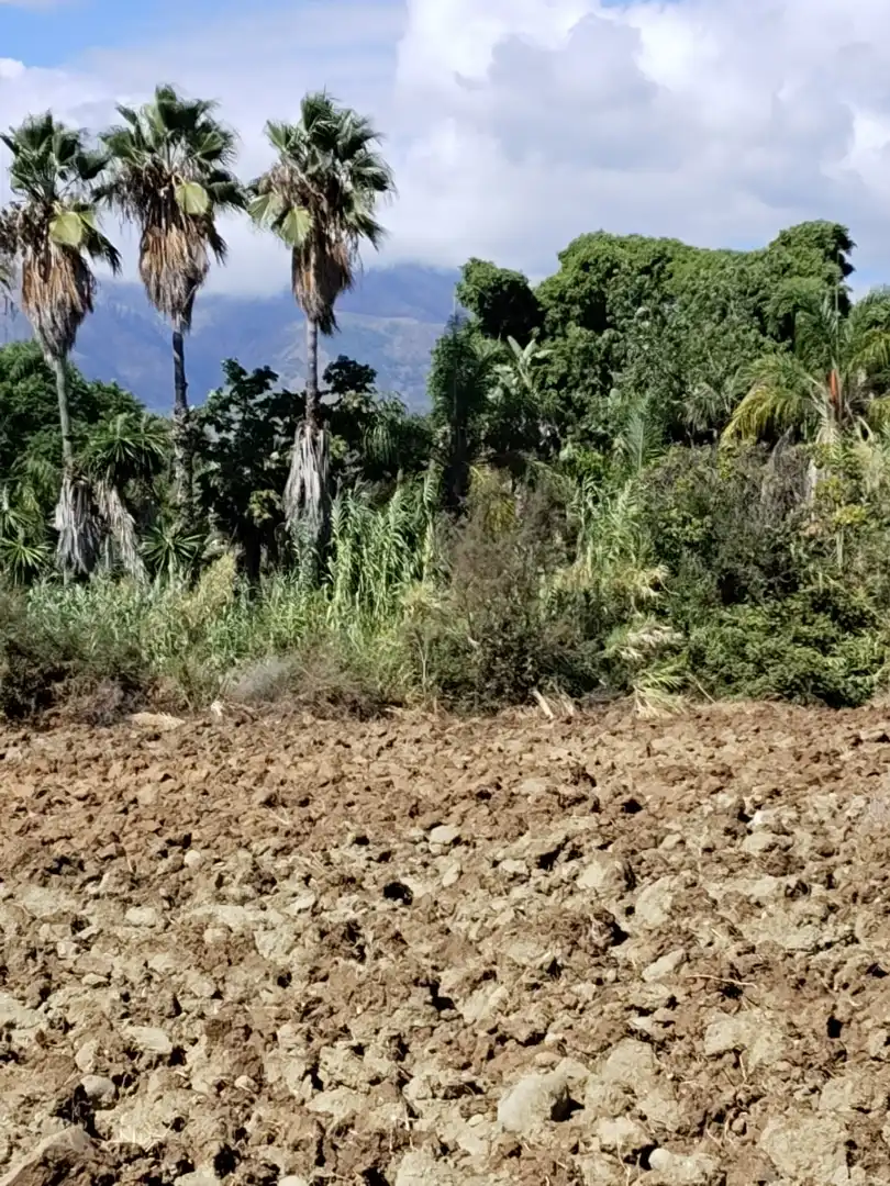 Grundstücke zum Verkauf in Estepona