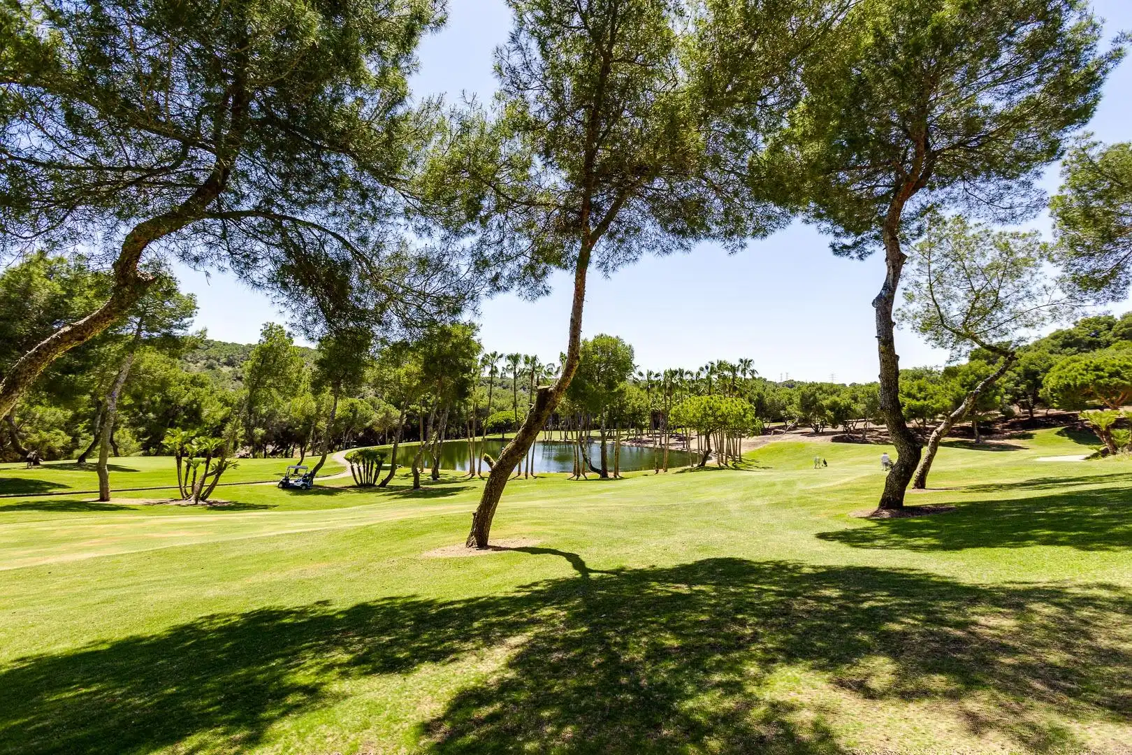 Mini appartamento con terrazza in affitto a Campo de Golf Lomas de Campoamor, imagen 95