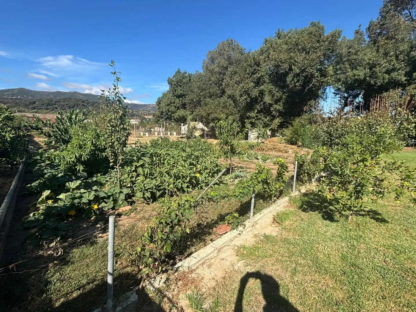 Rustikales Grundstück zum Verkauf in Los Barrios, imagen 13