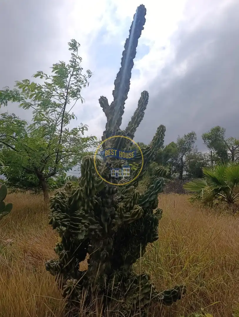 Jardí de Casa o xalet en venda en Ontinyent amb Jardí privat, Traster i Piscina