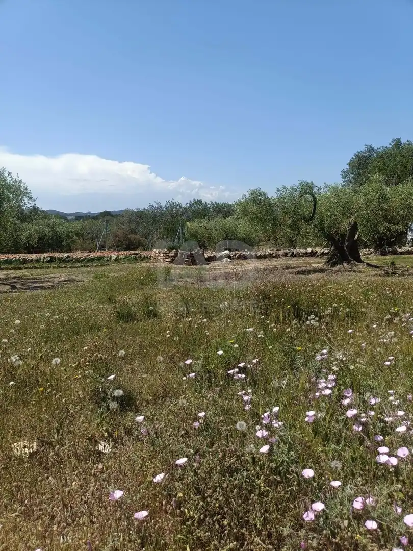 Residencial en venda en L'Ametlla de Mar 