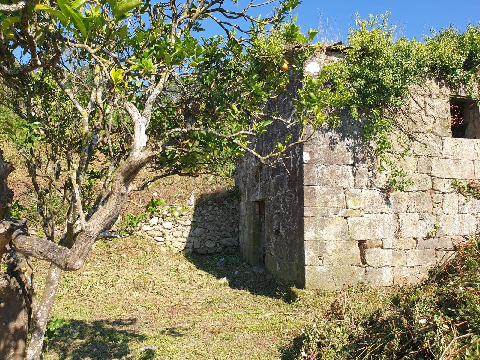 Vista exterior de Casa o xalet en venda en Oia amb Calefacció i Jardí privat