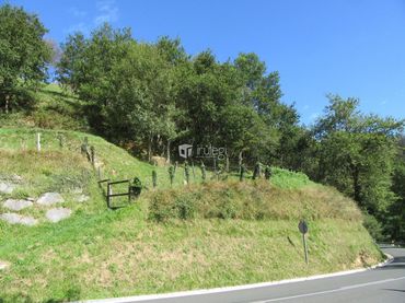 Terrenys i solars en venda a Aia