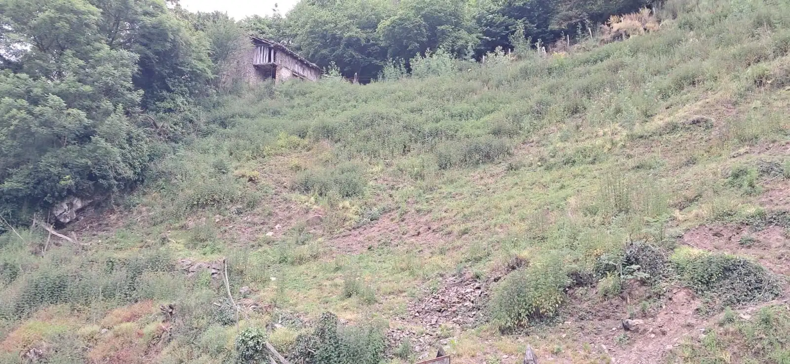 Lands and plots for sale in Lena, imagen 9