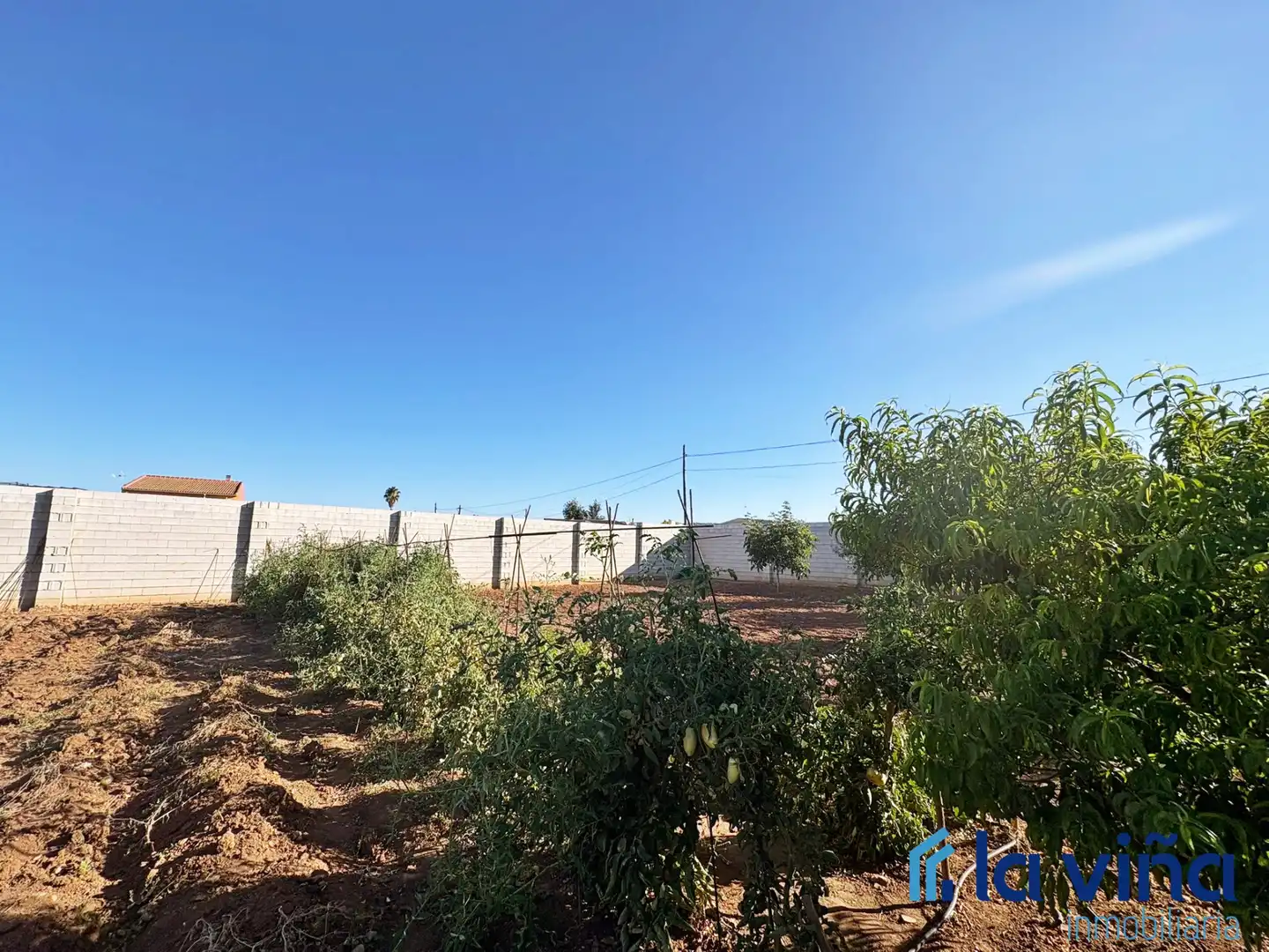 Rural land for sale in Mollina, imagen 5