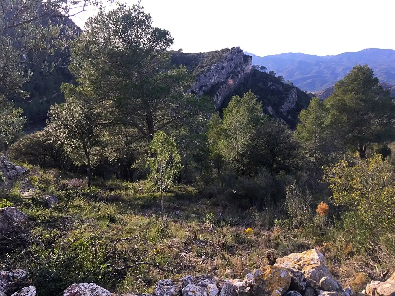 Country house for sale in Benifallet, imagen 24