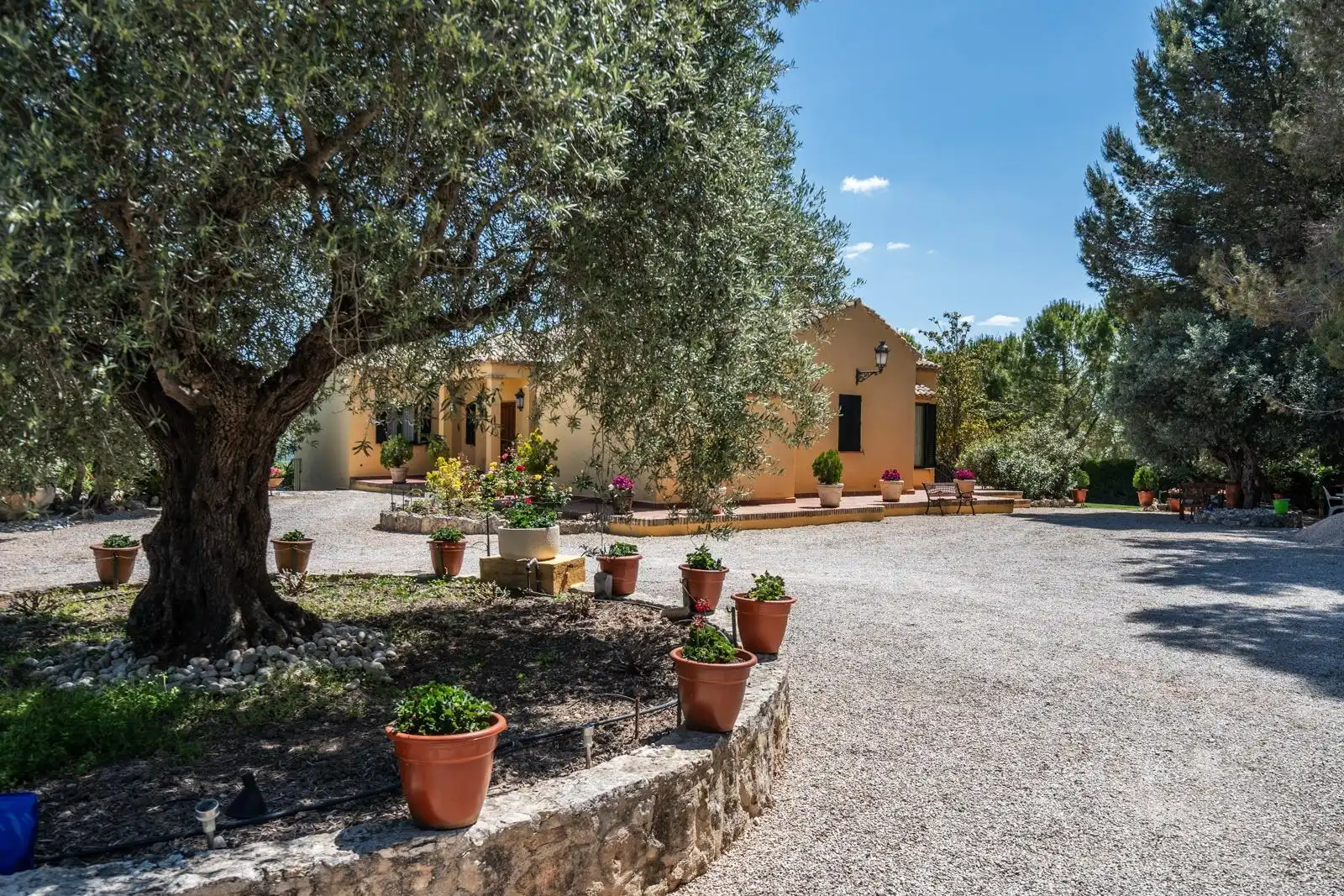 Jardín de Finca rústica en venta en Chinchón con Aire acondicionado, Calefacción y Jardín privado
