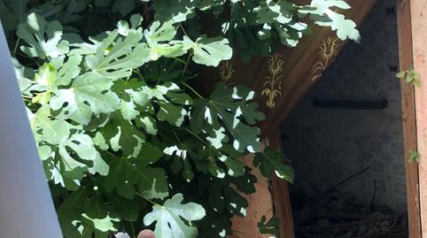 Foto 4 de Casa o xalet en venda a Calle Olivares, Montoro, Córdoba
