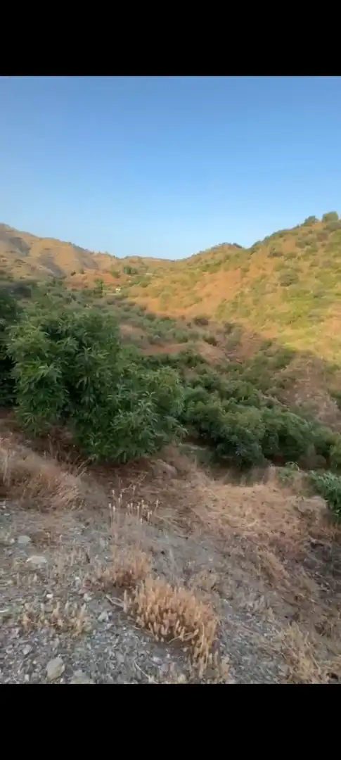 Rural land for sale in Sedella, imagen 2