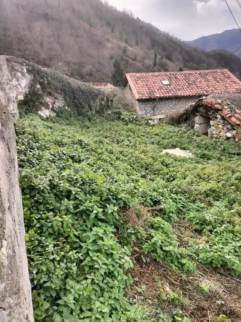 Pis en venda en Quirós