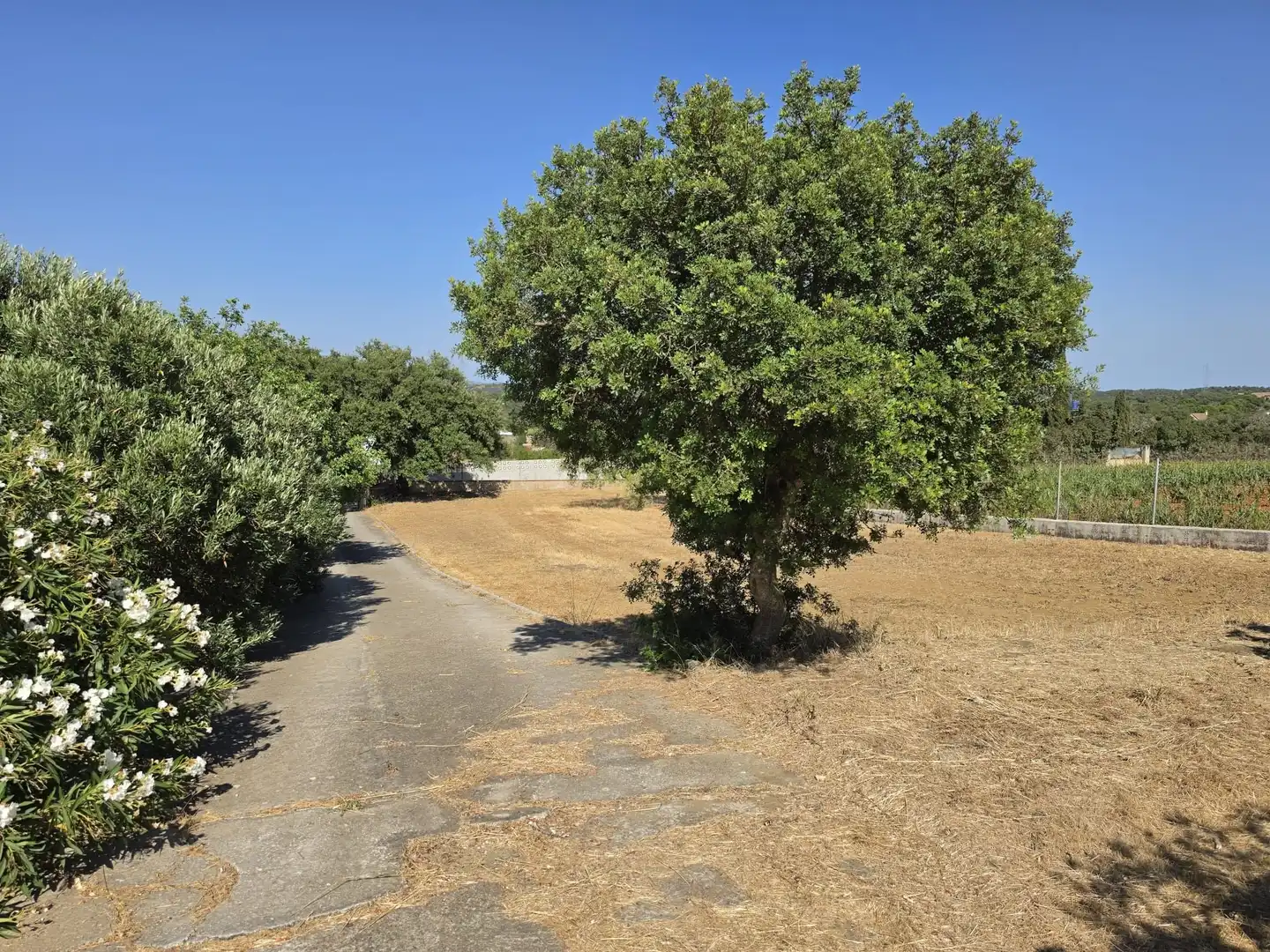Rural land for sale in Calle Verea de la tarde, imagen 31