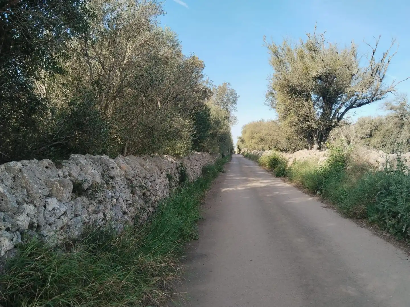 Rural land for sale in Felanitx Poble, imagen 10