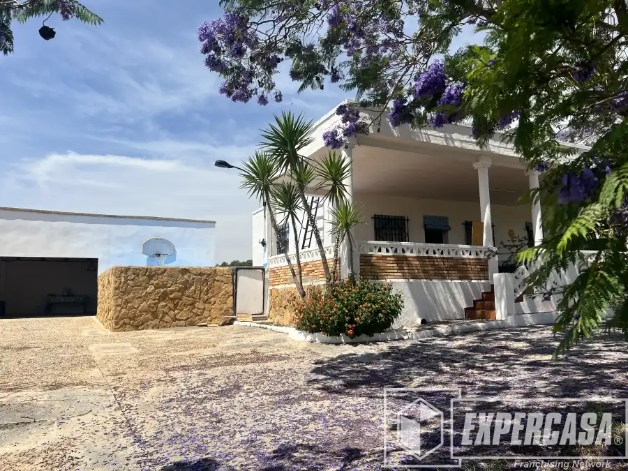 Vista exterior de Casa o xalet en venda en Torrent amb Terrassa i Piscina