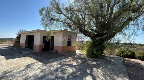 Photo 5 of Land for sale in Monte Real, Torrent