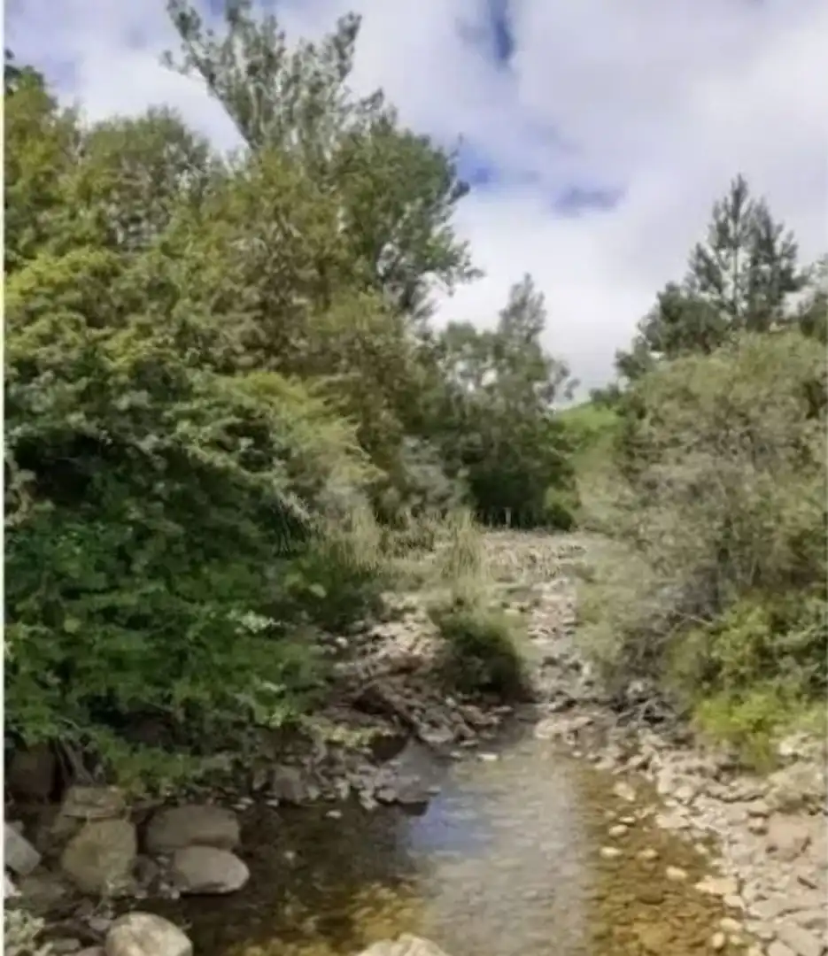 Finca rústica en venda en Espinosa de los Monteros amb Jardí privat