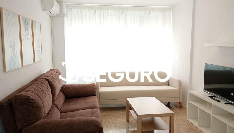 Foto 1 de Pis de lloguer a Magistrado Salvador Barberá, La Florida - Parque Norte, Málaga